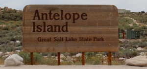 Antelope Island 